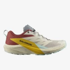 Salomon - Sense Ride 5 - Homme(Salomon Sense Ride 5 Homme)