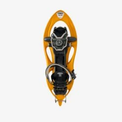 TSL - 305 Initial(Tsl 305 Initial)